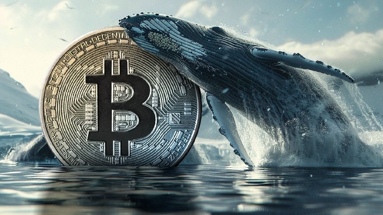 128 миллионов долларов Биткойн (BTC) переехали из BitFinex в Kraken: Почему?