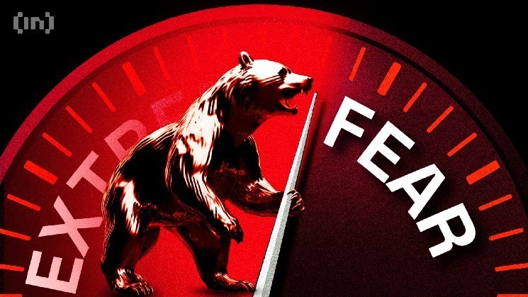 Эксперты раскрывают 3 разумные стратегии покупки альткойнов на фоне ноябрьского страха