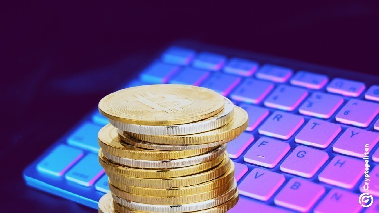 Balancer избежал убытков в $4,1 млн после обнаружения нового вектора атаки