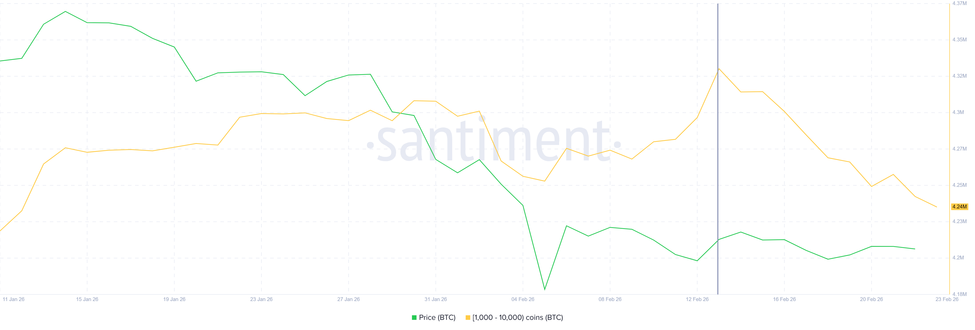Bitcoin Whale Selling