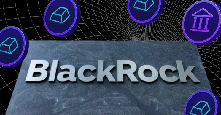 为什么 BlackRock 在 Bitcoin 暴跌 50% 后依然看好