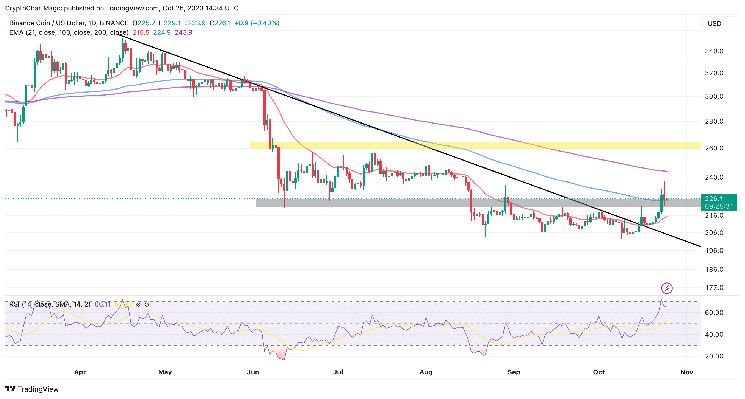 Prediksi Harga BNB Saat Binance Melanjutkan Penarikan Kripto