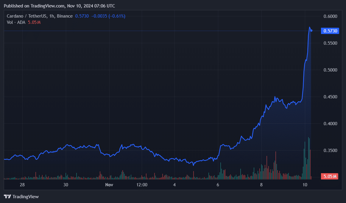 Cardano emerges as a top gainer, BTC nears $80k - 1