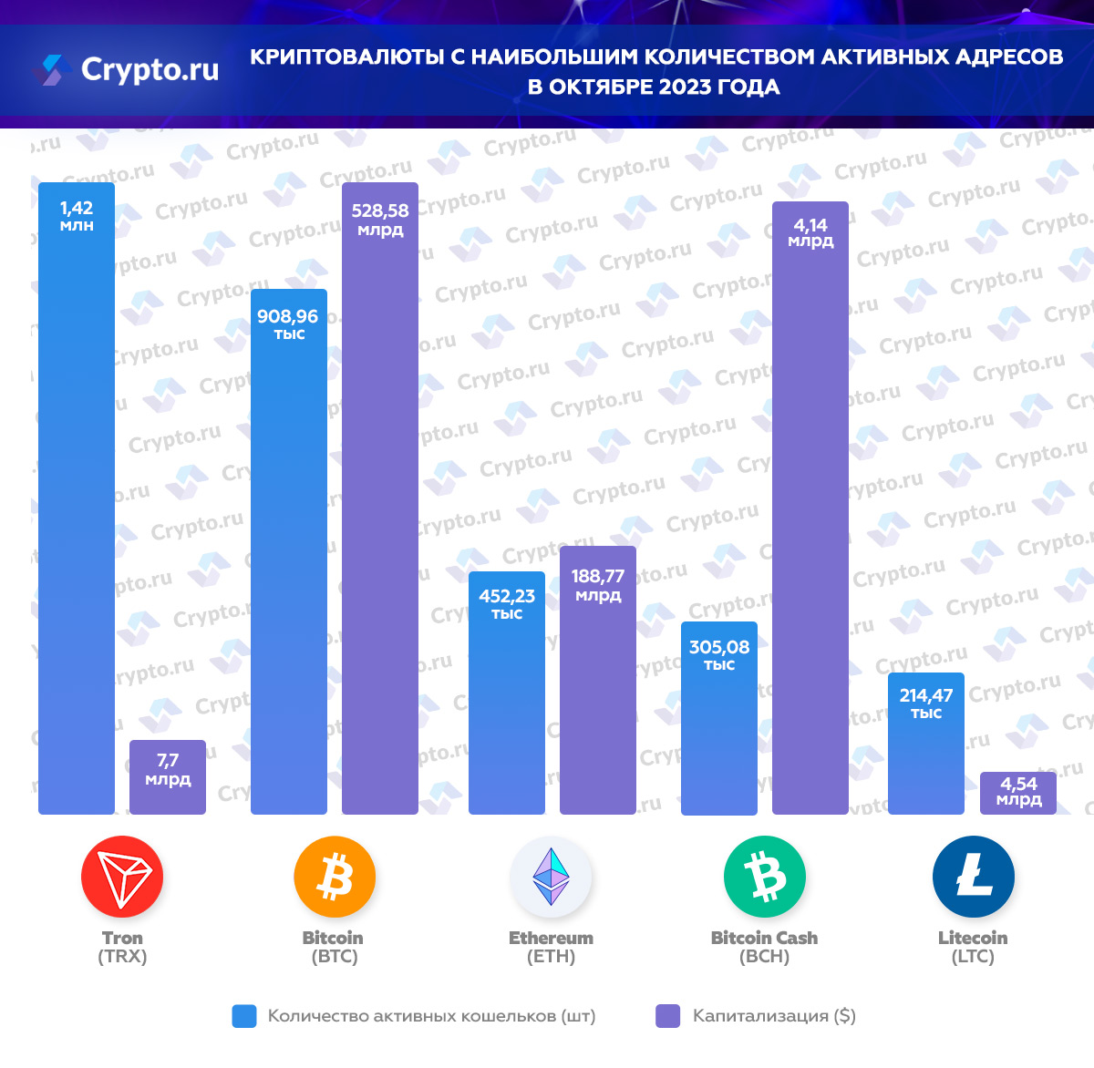 Инфографика