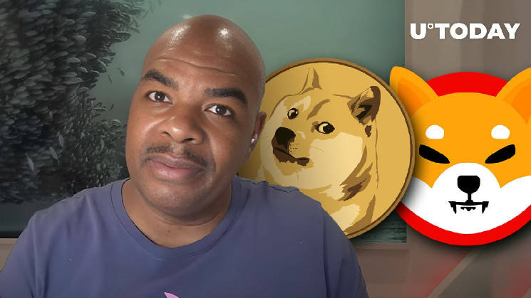 Я собираюсь продавать ADA для своих SHIB и DOGE: Crypto YouTuber Джереми Давинчи