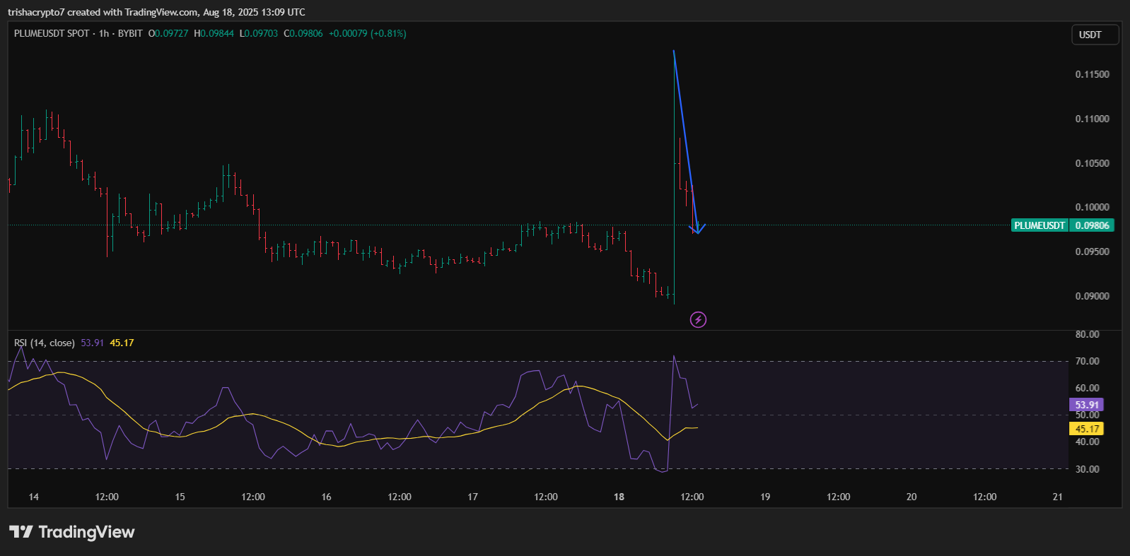 A one-hour price chart for PLUME after Binance's listing was postponed | Source: TradingView