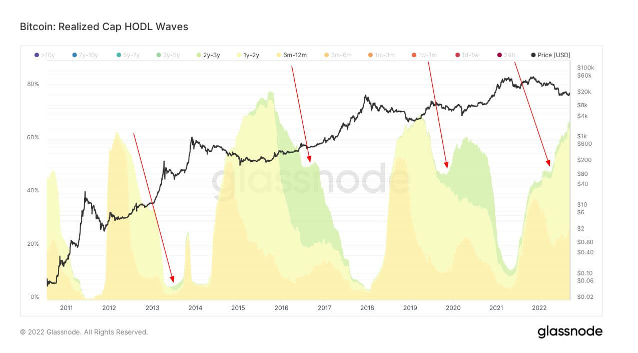 HODL-волны биткоина не показали отличий этого цикла от предыдущих