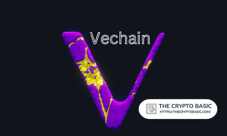 VeChain запускает торговую площадку для покупки и продажи узлов
