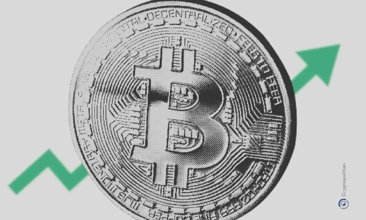 Цена акций Nakamoto Holdings упала более чем на 98% с мая