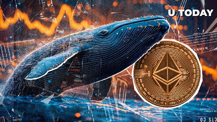 Удивительное накопление китов Ethereum (ETH) только что началось: детали