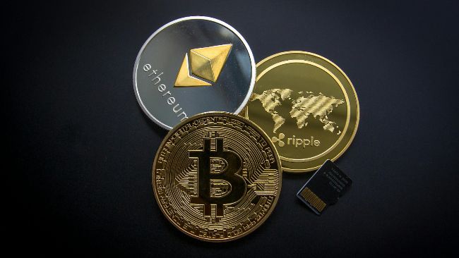 article preview