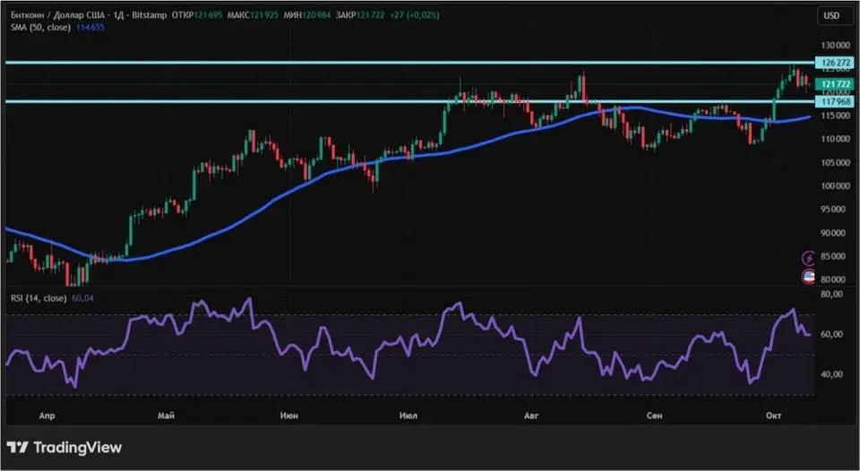 10102504.jpg 10102504.jpg