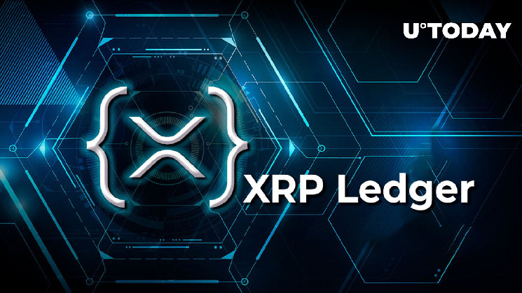 XRP Ledger представляет новую функцию для разработчиков: подробности
