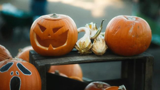 Будьте готовы — конец ноября будет масштабным для XRP, говорит генеральный директор