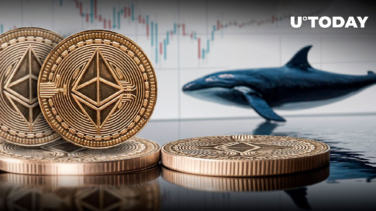 Киты Ethereum (ETH) делают шаг на 32 миллиона долларов — что происходит?