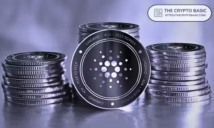 Cardano Privacy Sidechain Midnight Winds Down Developer Relations Team