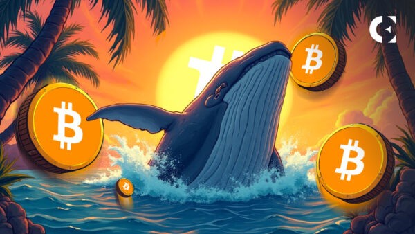 Bitcoin Whale Moves $33M to Binance, Is Sell-off Coming?