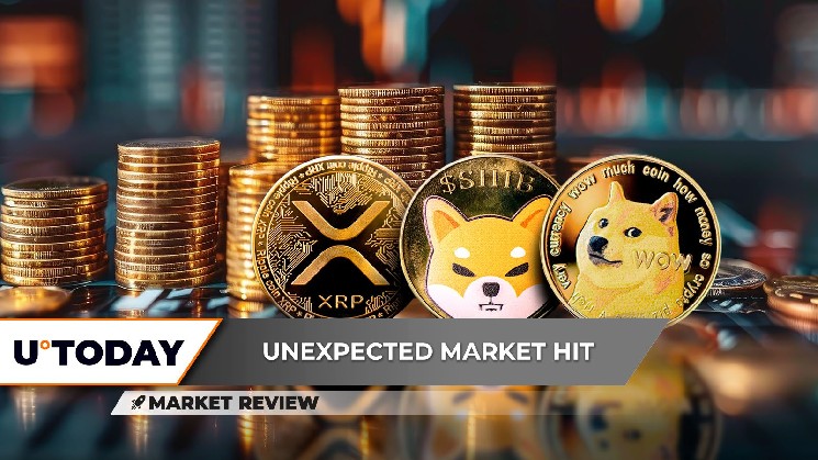 Dogecoin (Doge): только шанс на выздоровление, XRP сталкивается с основной схемой. Свигательство, Шиба Ину (Шиб): Важный уровень поддержки здесь здесь