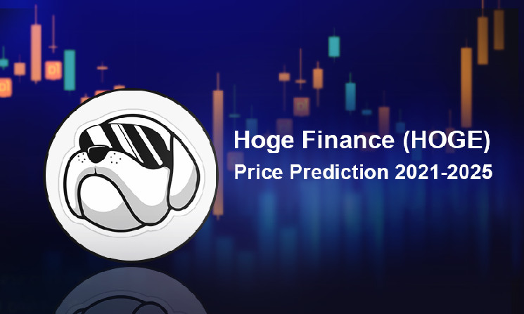 Hoge Finance HOGE Price Prediction 2021 2025 Will HOGE Reach