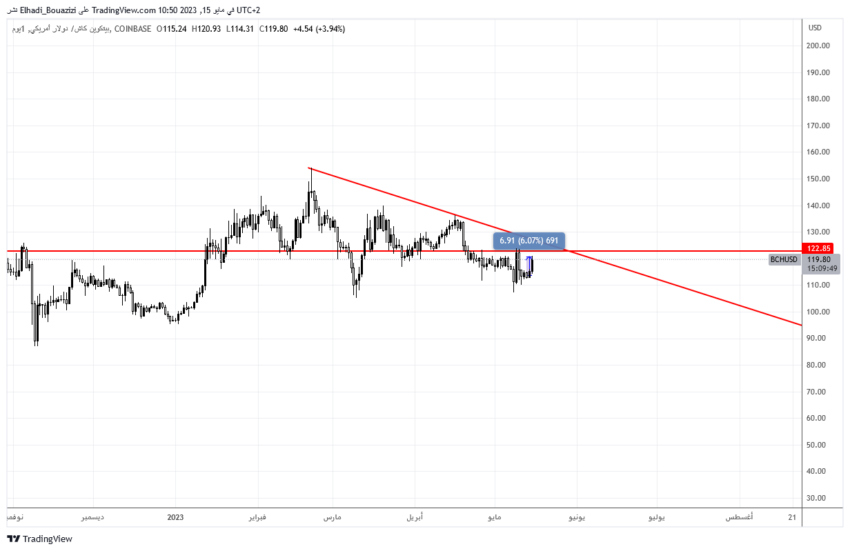 الرسم البياني اليومي لسعر عملة  BCH