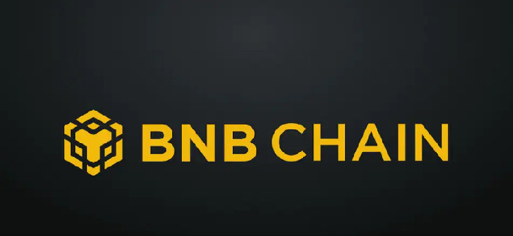 Сеть BNB установила новый рекорд благодаря растущей активности пользователей — повышение цены?