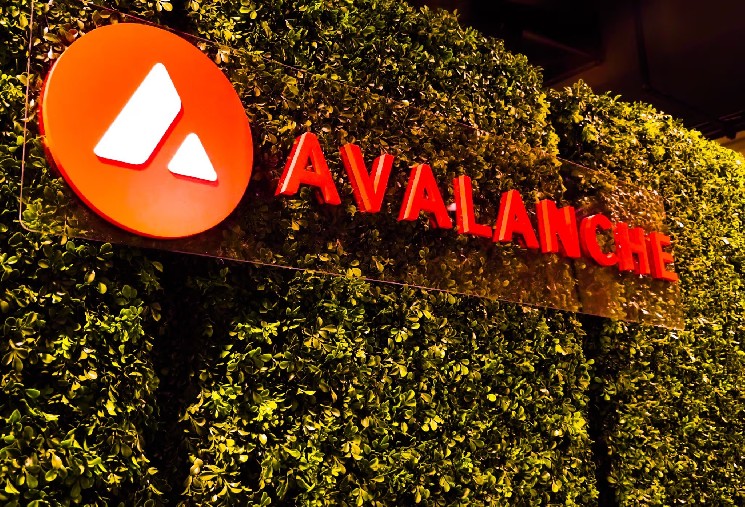 Nasdaq подала заявку на листинг VanEck Avalanche ETF