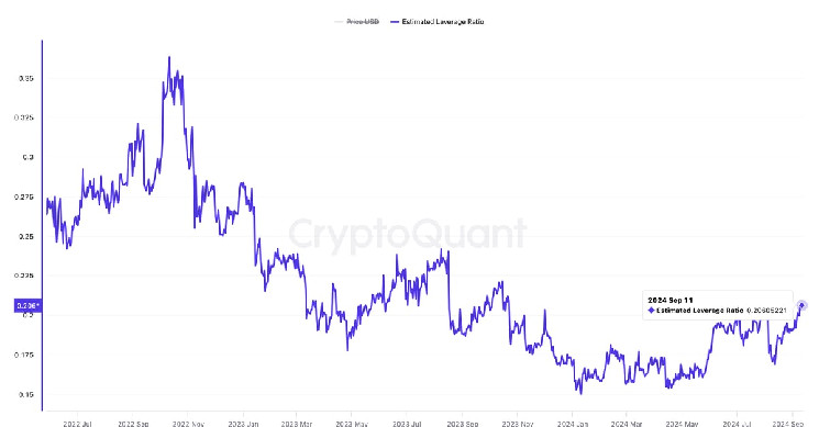 Кредитное плечо на рынке Bitcoin снова растет