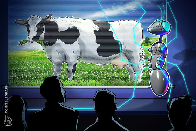 Как ирландские фермеры превращают коровий навоз в цифровое золото (Биткойн)