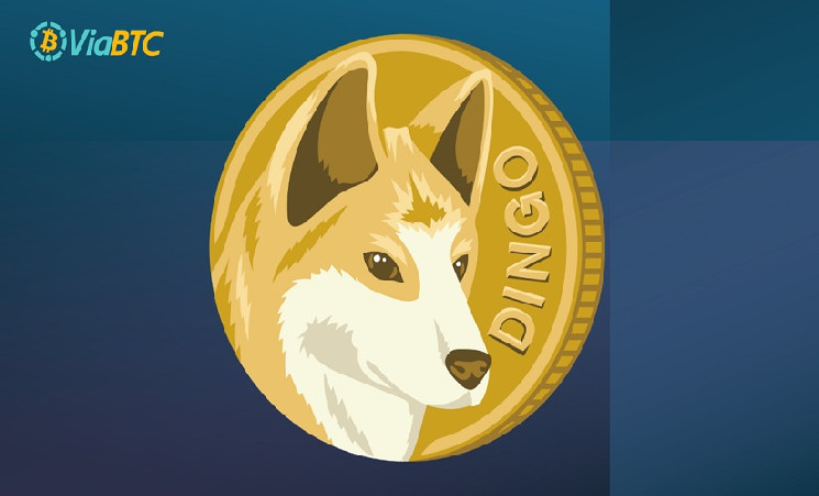 Как добывать криптовалюту Dingocoin