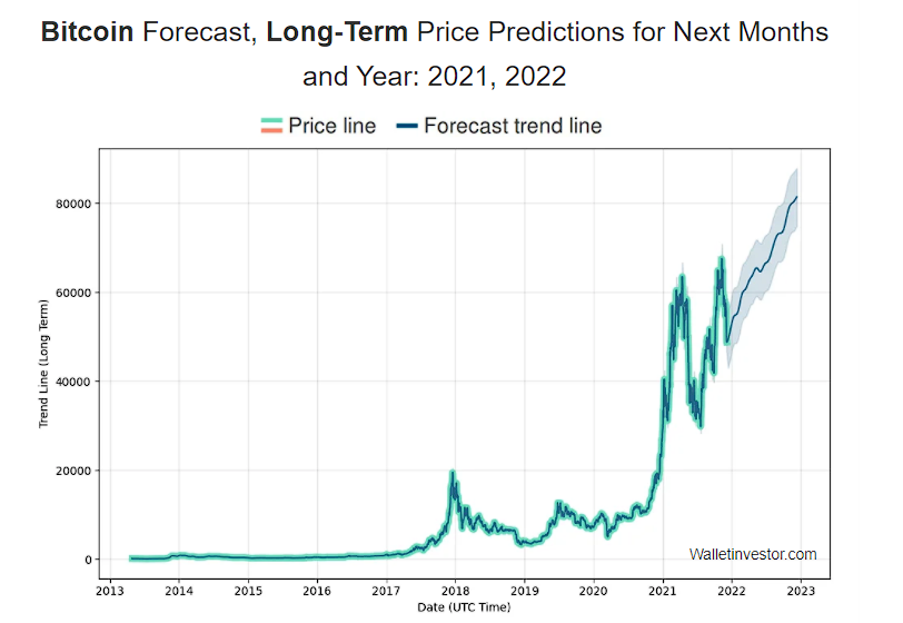 Bitcoin Price Prediction 2021 by Wallet Investor Long term