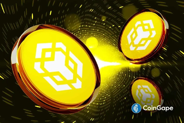 Хедж -фонды, чтобы собрать 100 миллионов долларов на казначейство Binance Coin (BNB)
