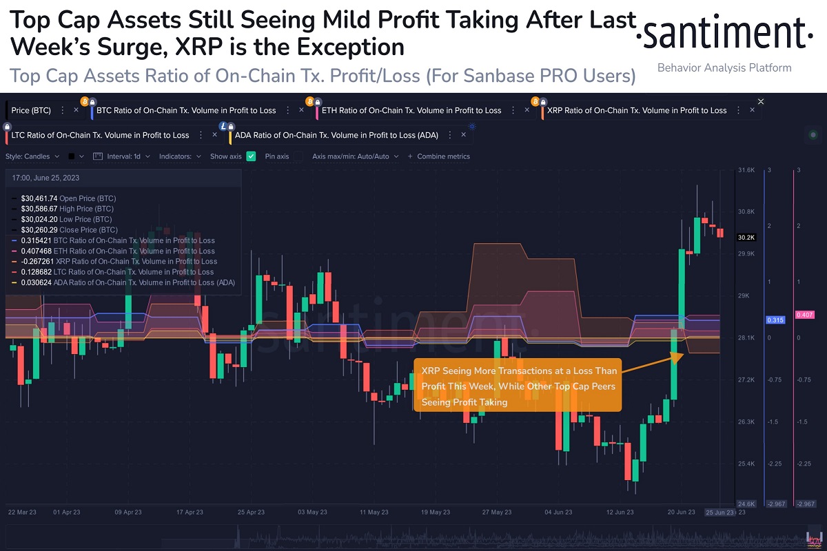 XRP Bulls приходят в сигналы данных по цепочке XRP Bulls приходят в сигналы данных по цепочке