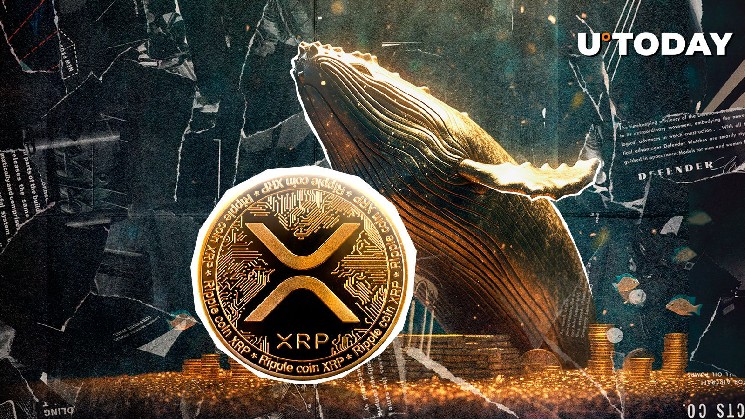Гигантский кит делает ставку на 6 миллионов долларов на XRP