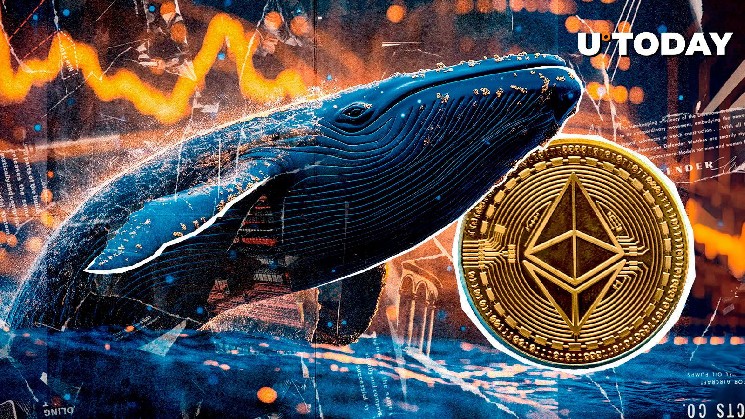 Ethereum кит капитулирует? Страх eth Dill Signals 12 миллионов долларов