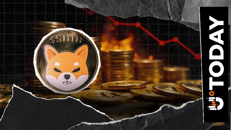 SHIB Burns Collapse by 100% to Lowest Values This Month