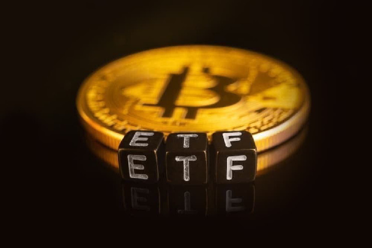 Американский экономист предупреждает «новичков» биткоин-ETF о «грубом пробуждении»