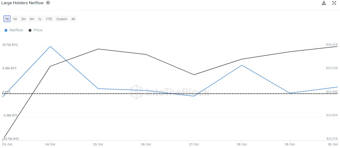 Bitcoin whale net flows