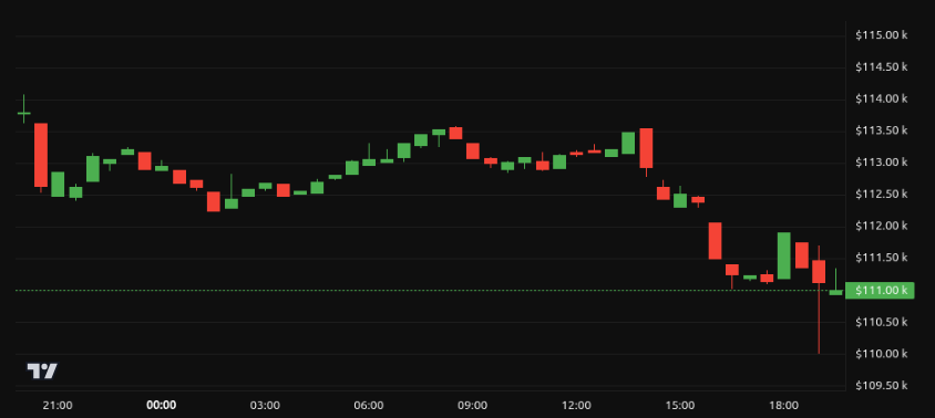 Rendimiento del precio de Bitcoin (BTC) - 24 horas. Fuente: BeInCrypto
Grok IA Elon Musk