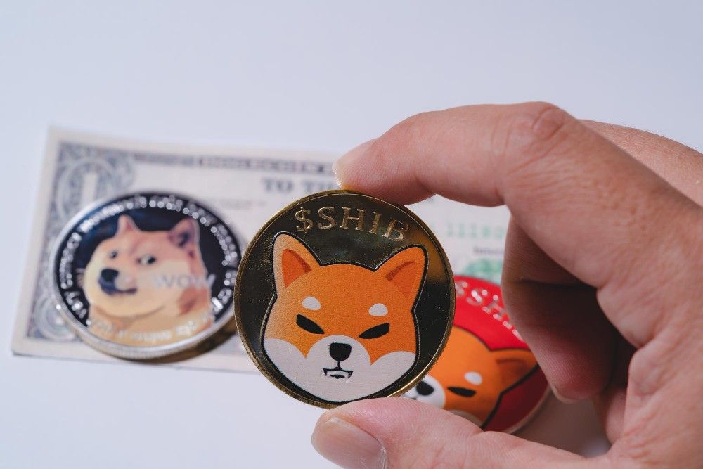 Shiba Inu