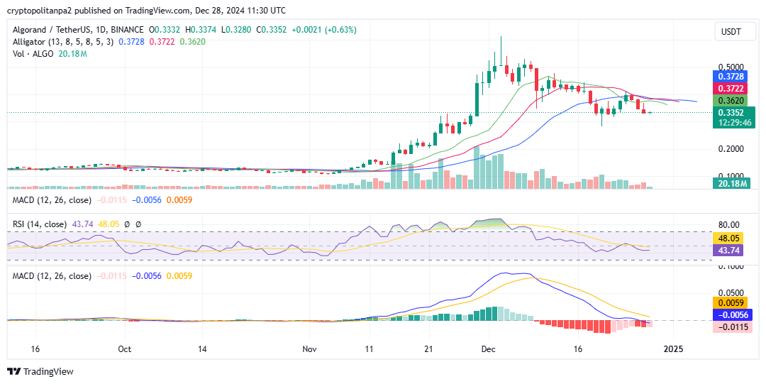 ALGO/USD الرسم البياني ليوم واحد. مصدر الصورة: TradingView