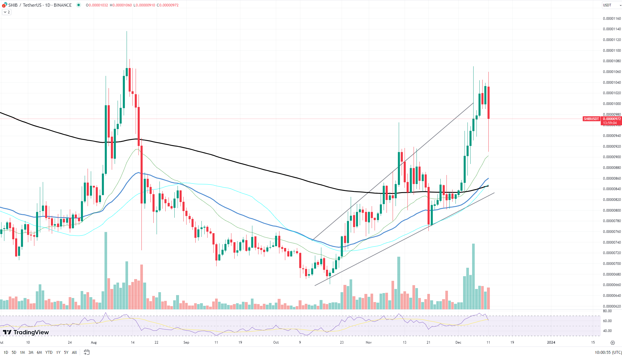 Shiba Inu Beat Ethereum? SHIB Shows Surprising Resilience Amid Market Dip
