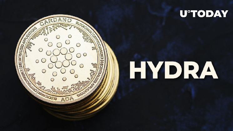 Hydra от Cardano запущена, вот чего ожидать