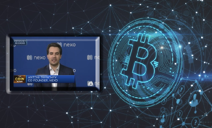 Глава Nexo предрек рост стоимости Bitcoin до $100 000