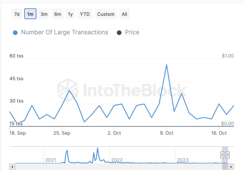 Large Transactions Shiba Inu