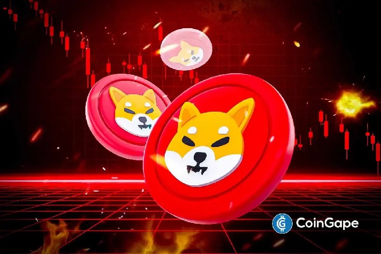 Shiba Inu Price рискует 50% аварии, несмотря на 12 -метровое ожог - вот почему