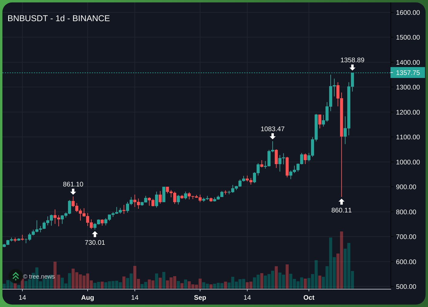 BNB Price Action | Big Wiz