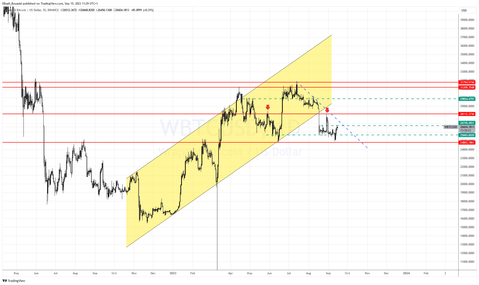 الرسم البياني اليومي لسعر عملة WBTC