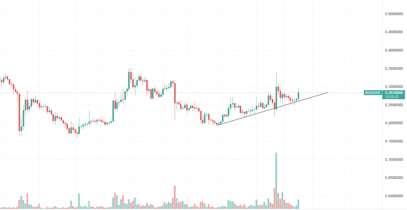 Dogecoin Daily Chart