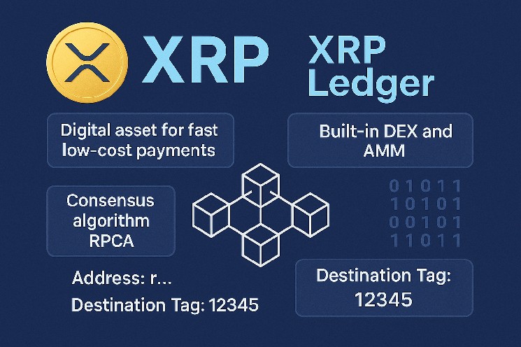 XRP и XRP Ledger: как работает экосистема и чем она отличается от других блокчейнов XRP и XRP Ledger: как работает экосистема и чем она отличается от других блокчейнов