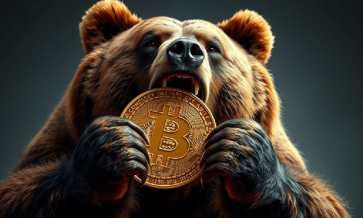 Текущий «медвежий рынок» BTC продлится всего 90 дней
